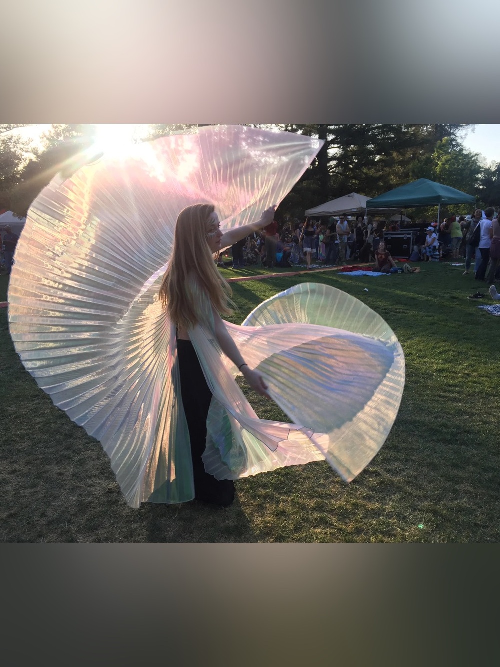 Iridescent Olive Colored Fairy Wings